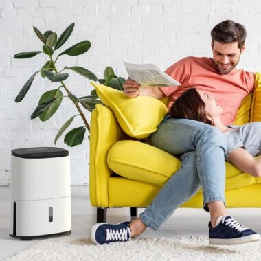 Best air purifier and dehumidifier all in one UK