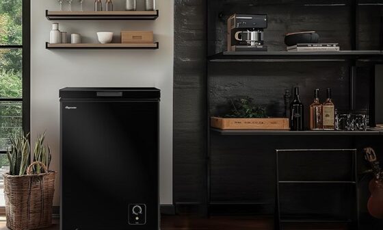 Top-Rated Small Chest Freezers