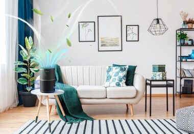 best air purifiers for small rooms