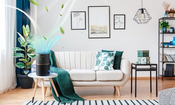 best air purifiers for small rooms