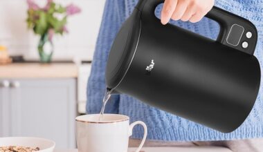 best electric kettle with automatic shut off