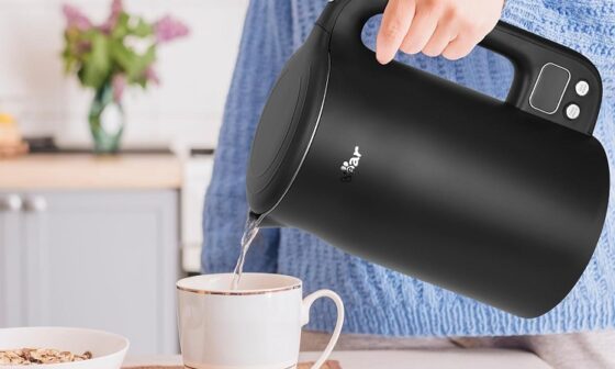 best electric kettle with automatic shut off