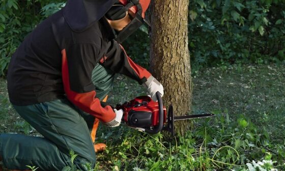 best gas chainsaw for cutting trees