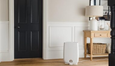 best small desiccant dehumidifier