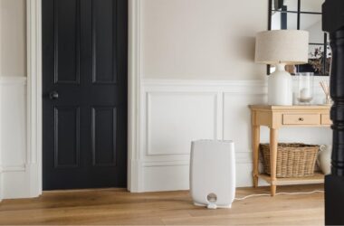 best small desiccant dehumidifier