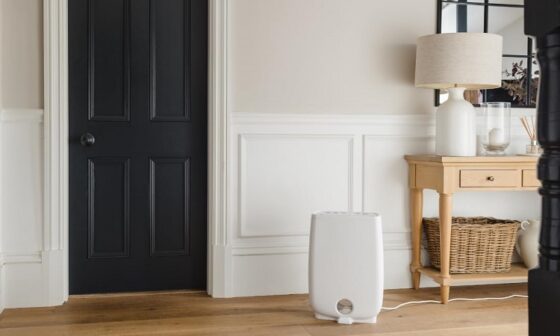 best small desiccant dehumidifier